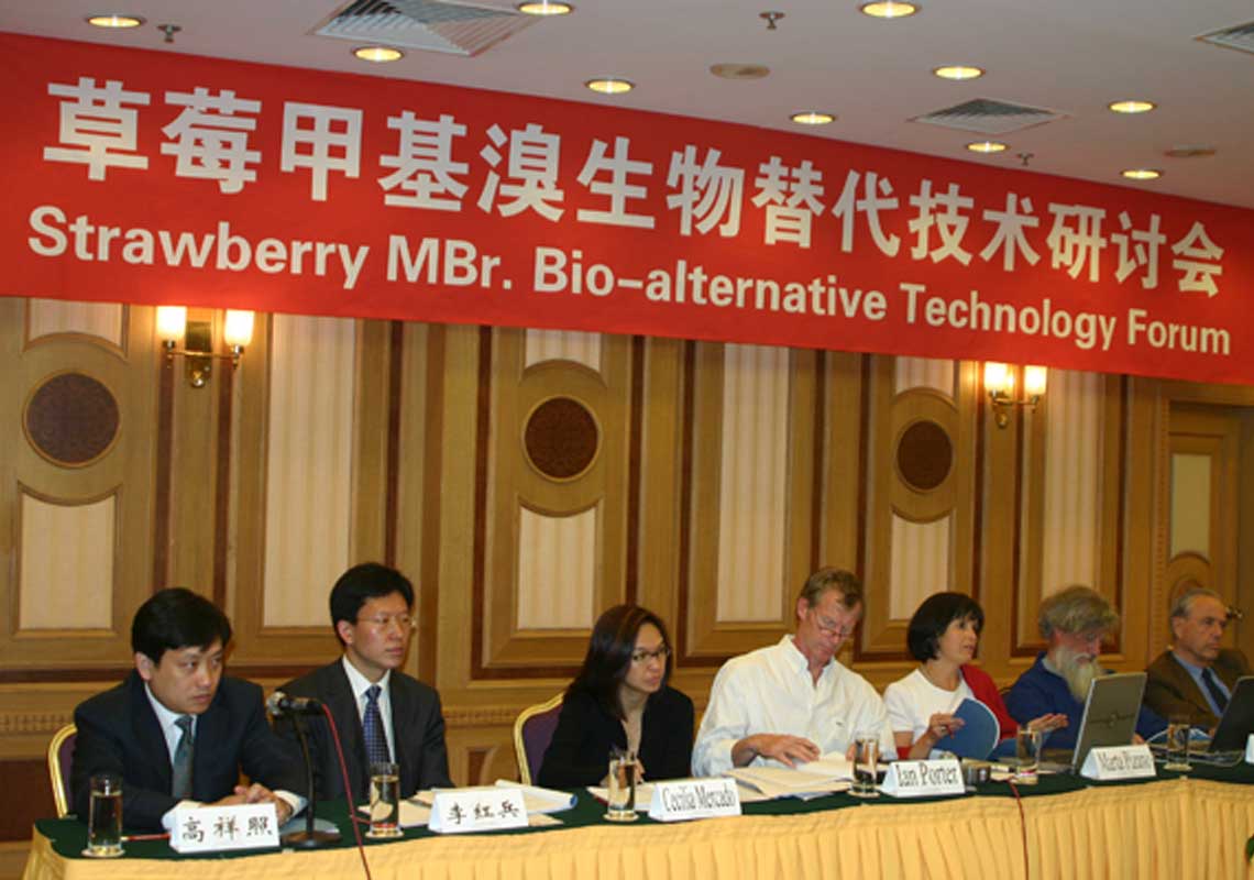 聯(lián)合國環(huán)境署、聯(lián)合國工發(fā)組織等機構(gòu)出席了我公司舉行的草莓甲基溴生物替代技術(shù)研討會